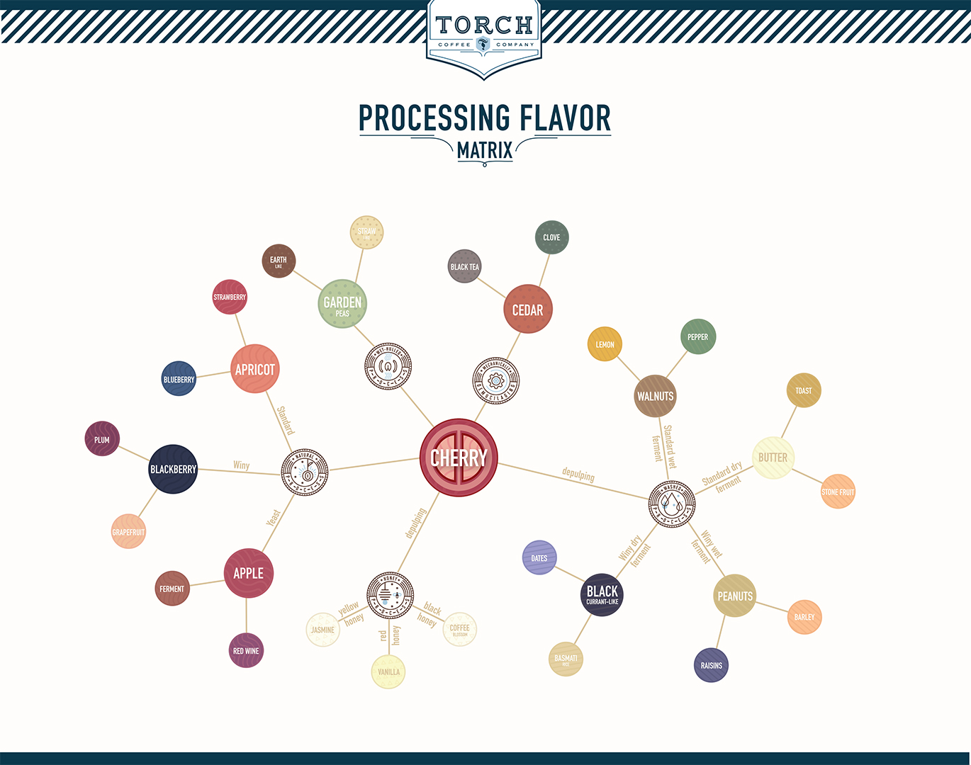 Torch Processing Flavor Matrix.jpg