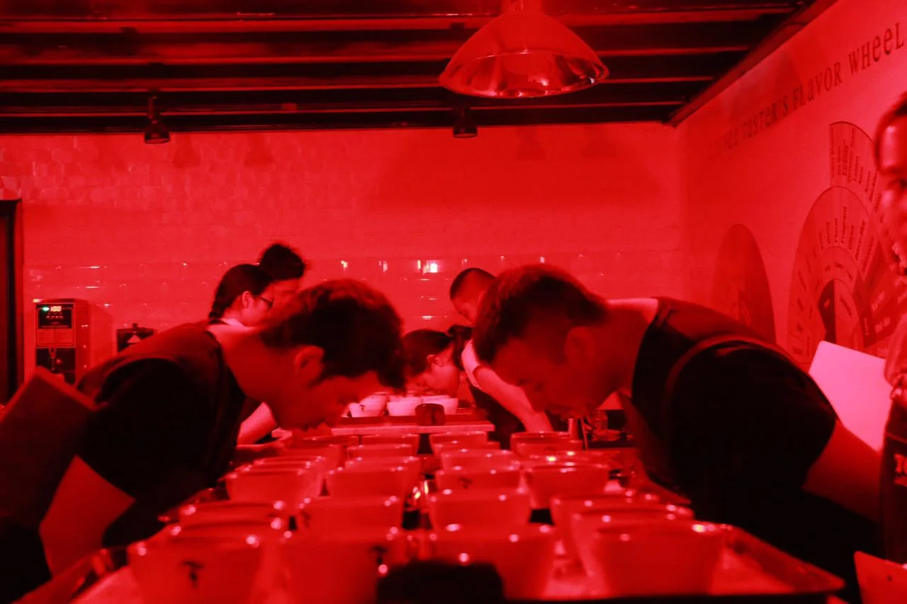 SCA 精品咖啡协会感官高级课程