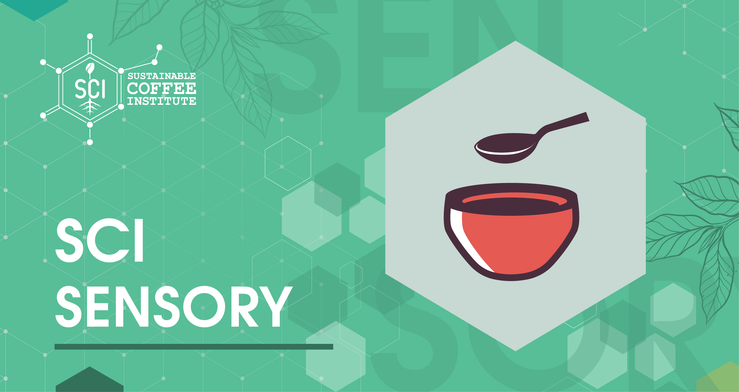 SCI-header-04.png