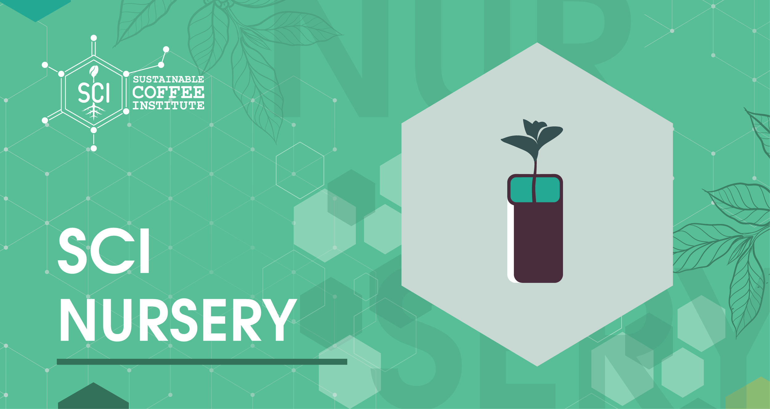 SCI-header-06.png