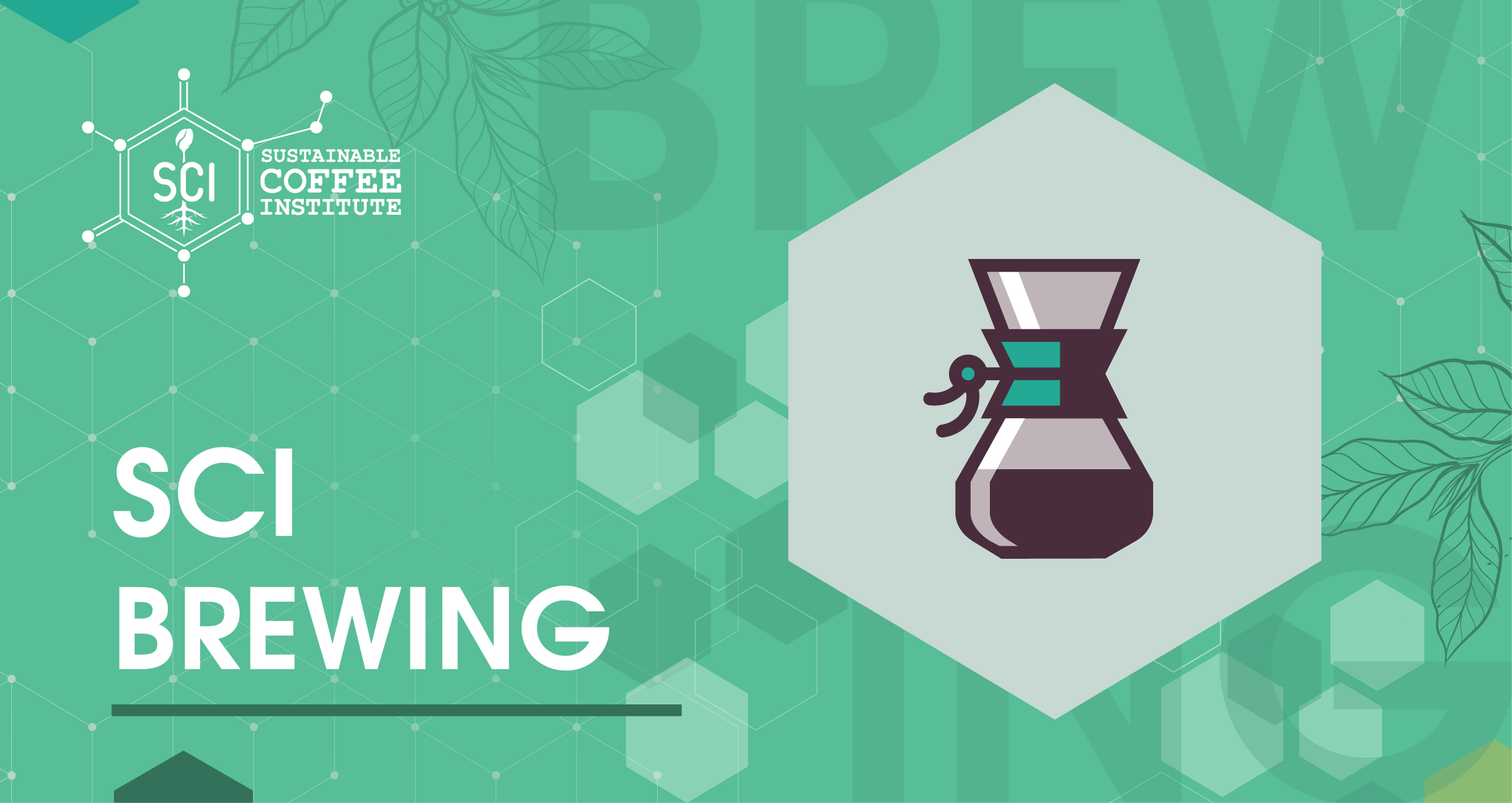 SCI-header-09.png