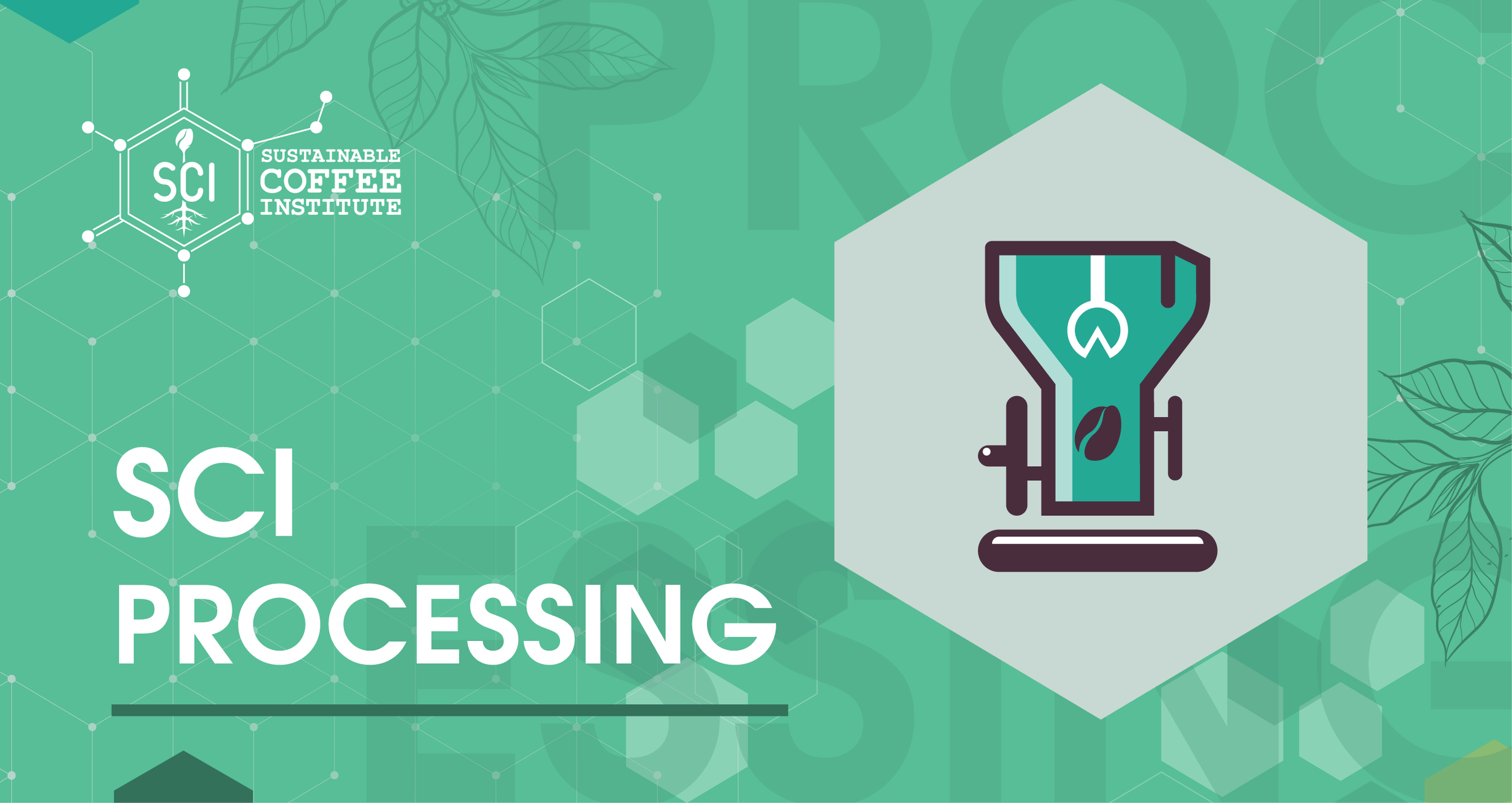 SCI-header-09.png