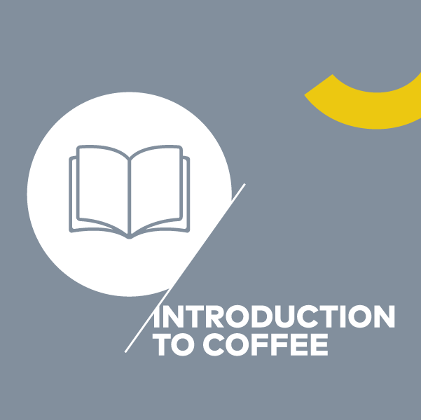SCA Introduction to Coffee