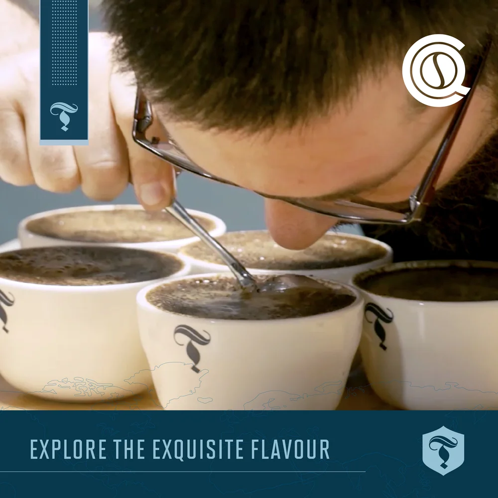 Cqi Q Robusta Grader Torch Coffee Labs