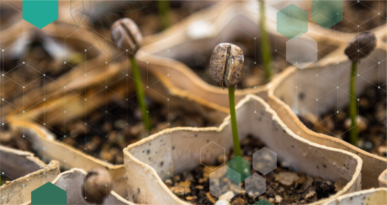 SCI-header-14.jpg