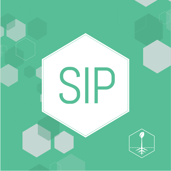 SCI 导师项目（SIP）