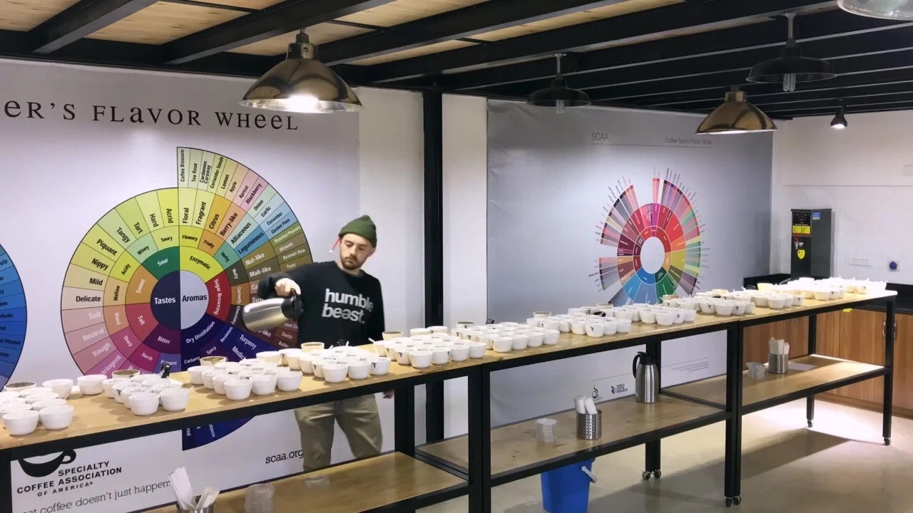 Cupping TDS and Ext % change over time ? ?