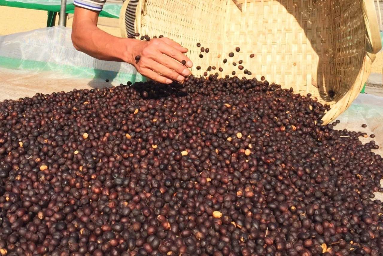 Natural Processing