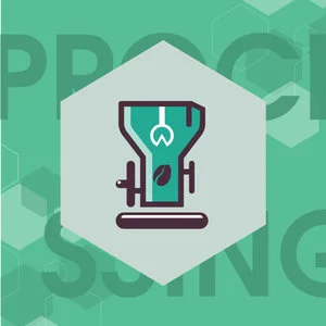 معالجة البن الأخضر  المستوى الثاني