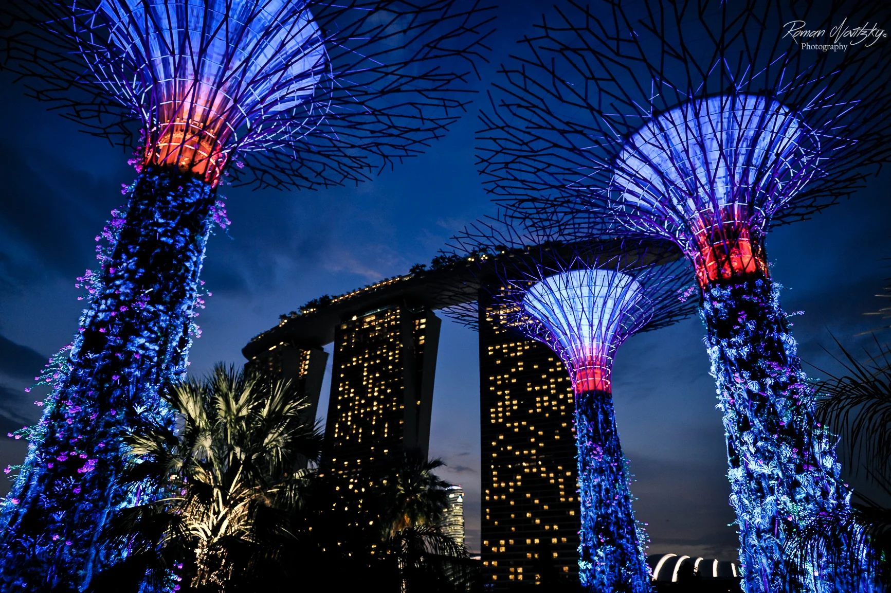 Botanical Gardens - Singapur