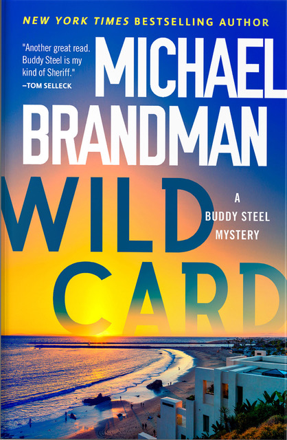 WildCard_cover2.jpeg