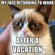 Back To Work ... — Rosemary Madruga, Mft, Lpcc