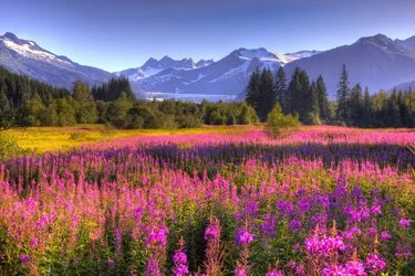 alaska.jpg