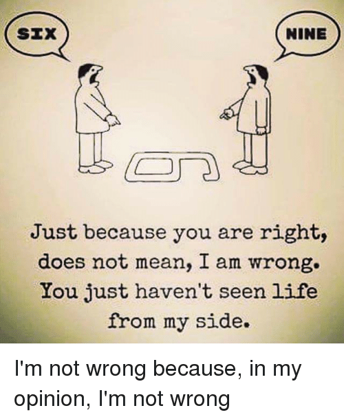 nine-six-just-because-you-are-right-does-not-mean-4110032.png
