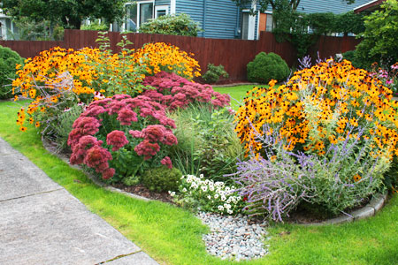 Rain Garden - Rain Dog Designs, Gig Harbor, WA http://raindogdesigns.com/wordpress/?page_id=1877