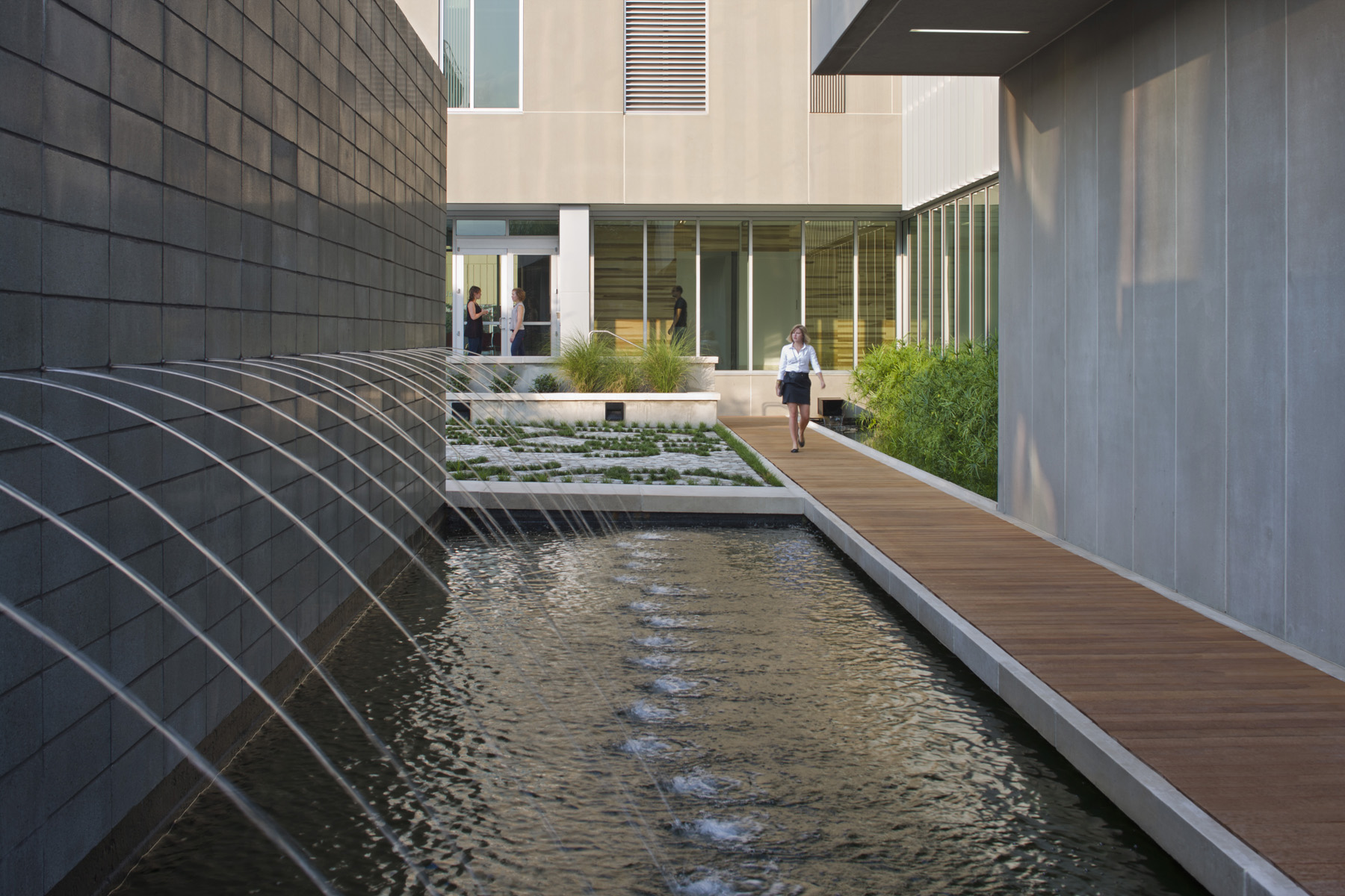 Eskew+Dumez+Ripple designed a rain garden capturing the rooftop rainwater in the courtyard of the Bioinnovation Center in New Orleans. Source: Eskew+Dumez+Ripple