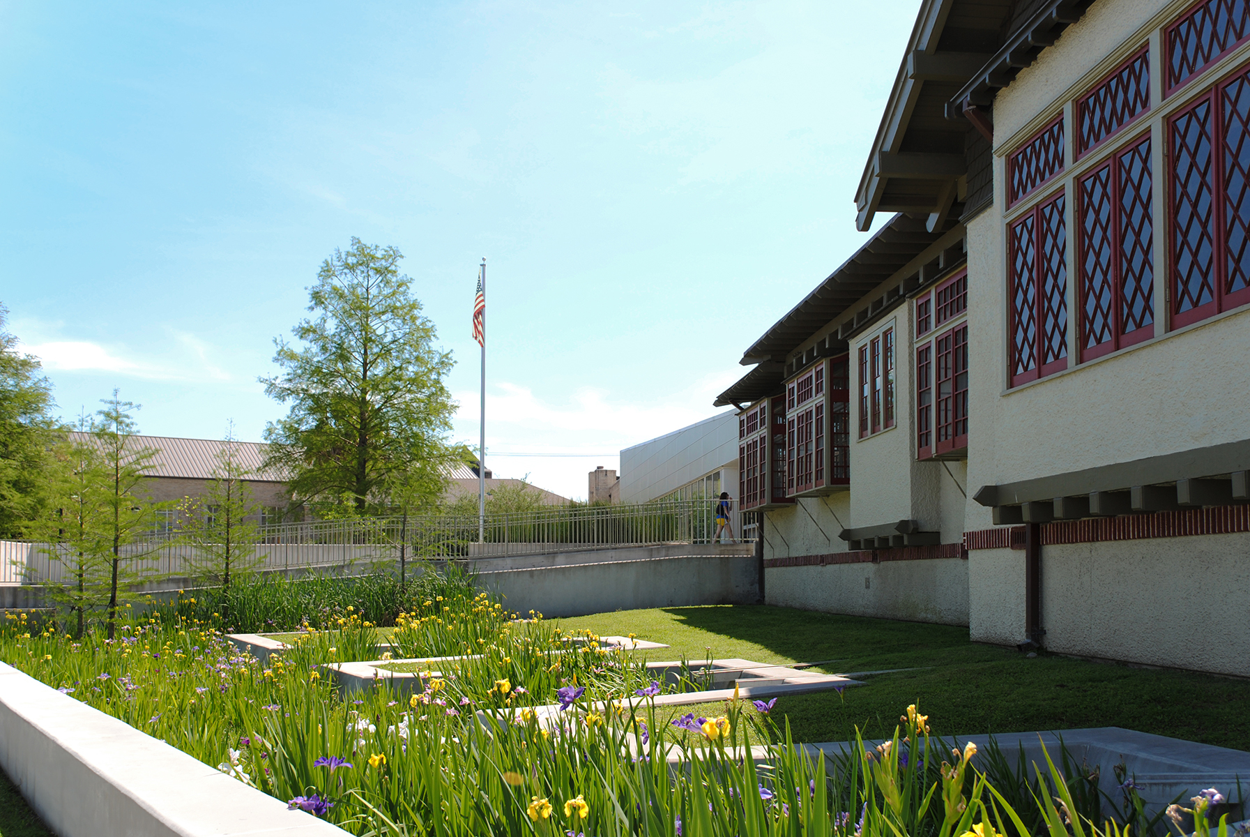 The Keller Library and Community Center in New Orleans has a rain garden designed by Eskew+Dumez+Ripple and Spackman Mossop & Michaels. The design includes a wetland garden, bioswale and detention area. Source: Eskew+Dumez+Ripple