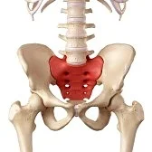 Sacrum in in Red