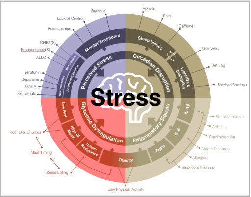 Stress.png