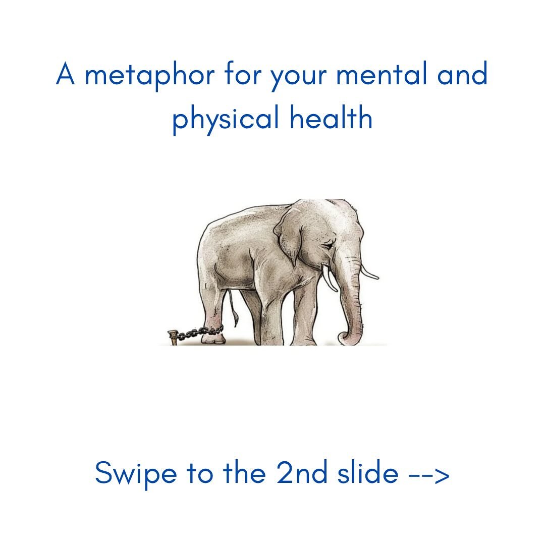 It&rsquo;s only through awareness that we can eliminate those subconscious snap reactions and decouple from negative emotional states

Shoot forth quite free and undeflected poised to  learn and grow!

Anyone know the other great elephant analogy &ld