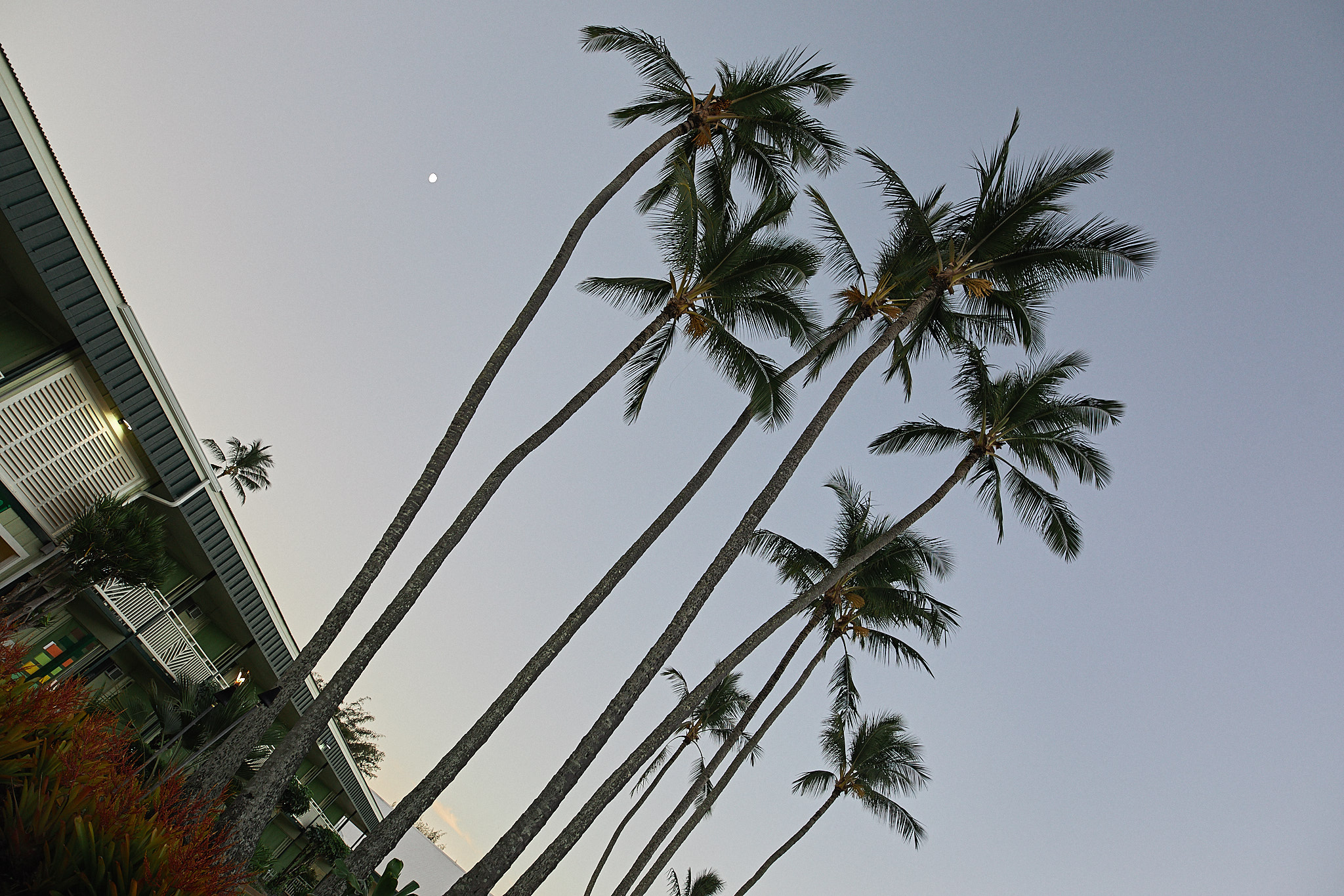 20161110_mouy_B05A7280.jpg