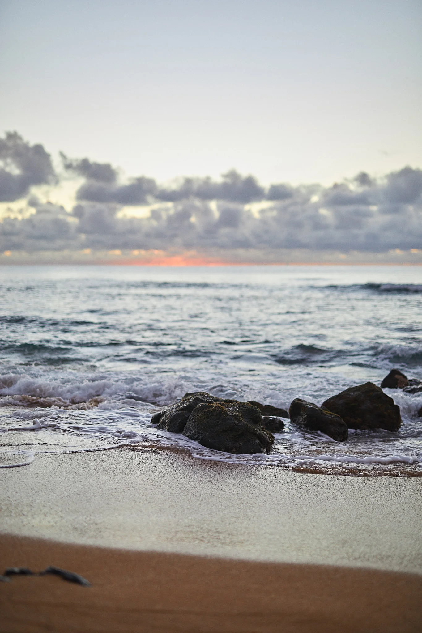 20161111_mouy_B05A7500.jpg