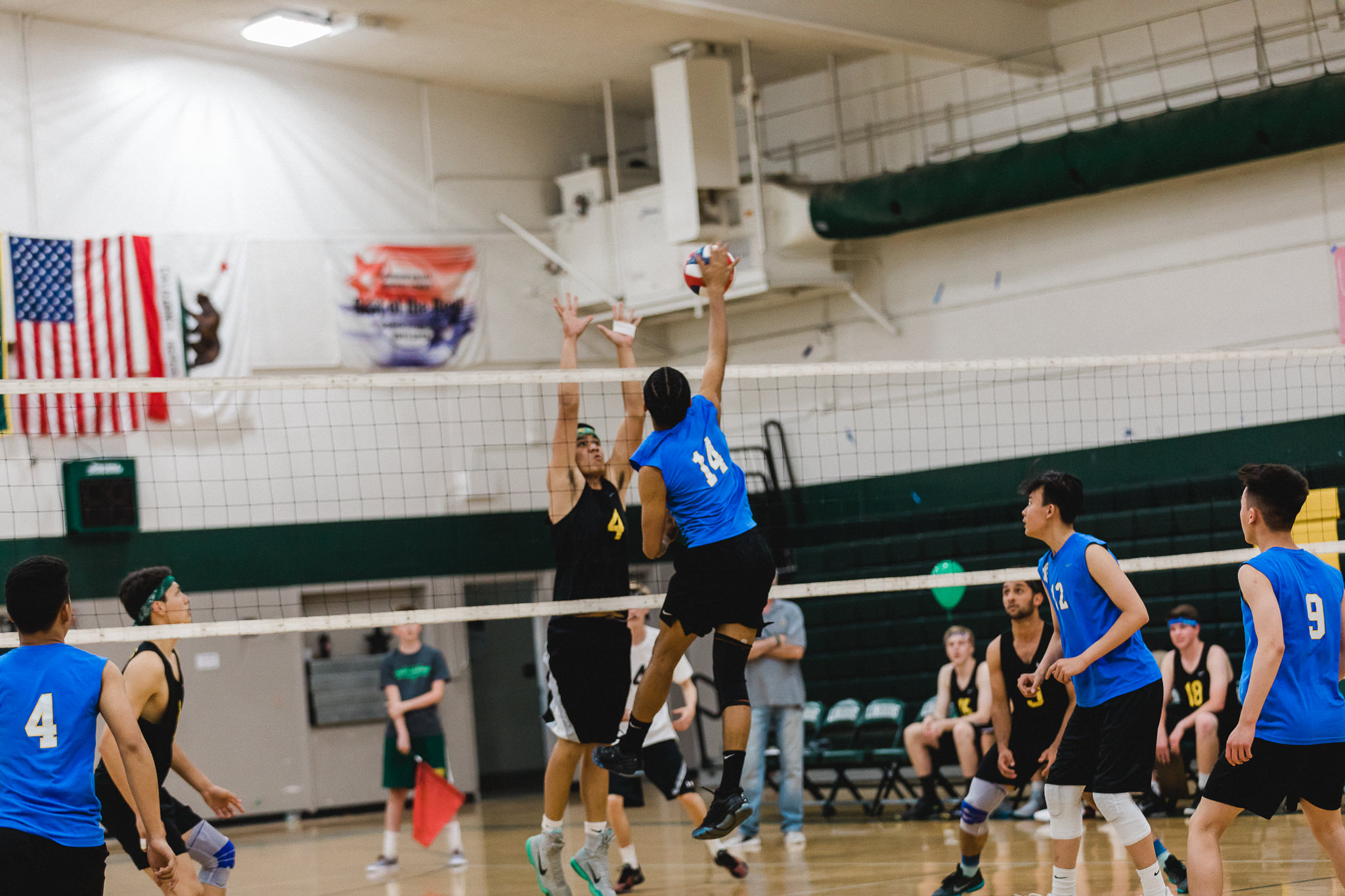 5-3-18_0083_steven_B05A1712.jpg