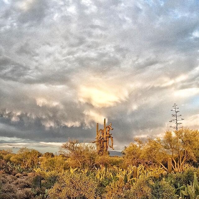This was just one of the views that were all happening at the same time last night in Tucson. #NoBragJustFact 
@gopro