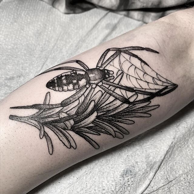 Had an absolute blast making this spooky lil friend today. Bugs and herbs forever, you guys. What herb would you get tattooed? I actually also have rosemary bc it&rsquo;s my everything.