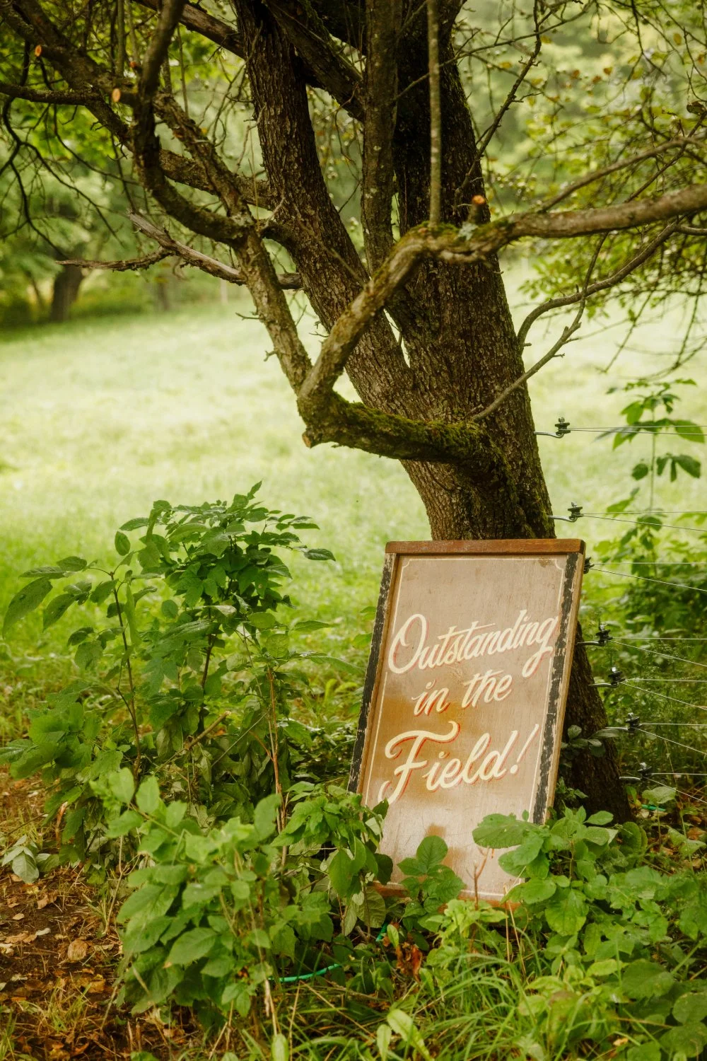 Outstanding in the Field Brings Its Celebrated Traveling Table to Freedom Run Far