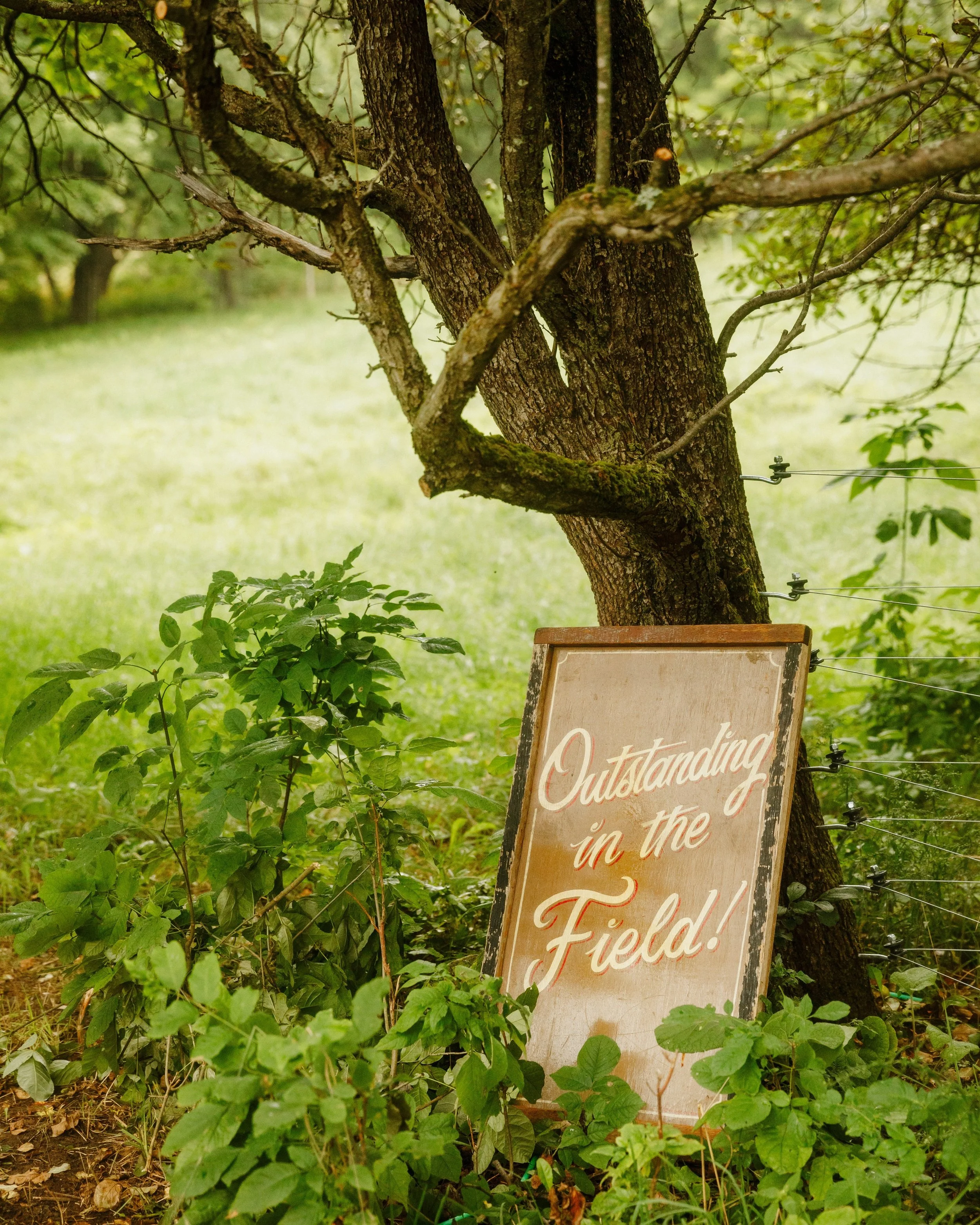Outstanding in the Field started with a simple idea: pull a table into a field, invite a chef, and gather people around it.

That was 1999. Since then, founder Jim Denevan has set that table across all 50 states and 25 countries, with more than 700 c