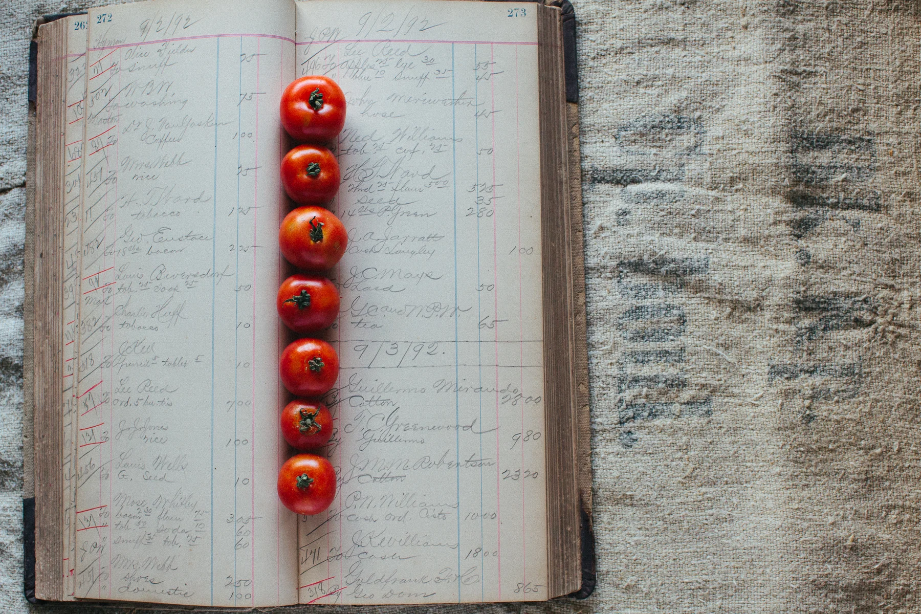 Tomatoes-3.jpg