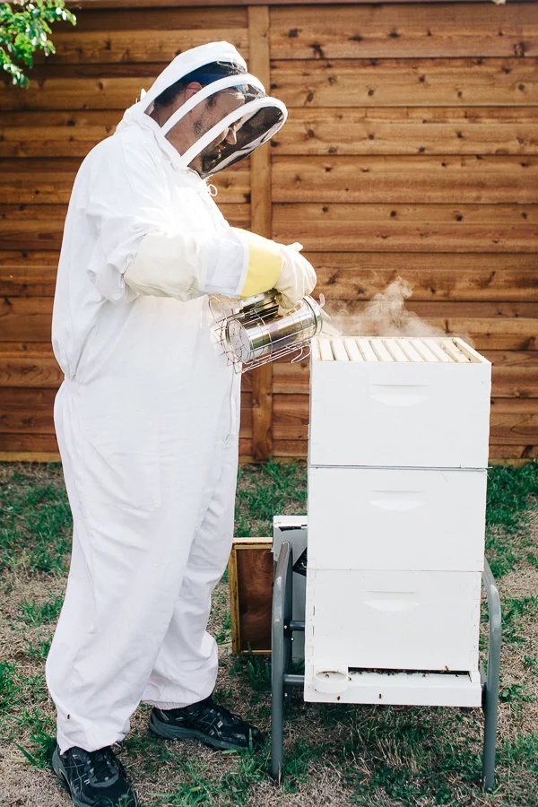 Bee Keeper Engagements Media Only 2018 (3 of 65).jpg