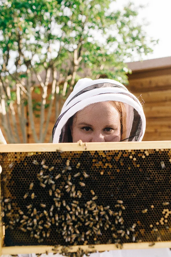 Bee Keeper Engagements Media Only 2018 (24 of 65).jpg