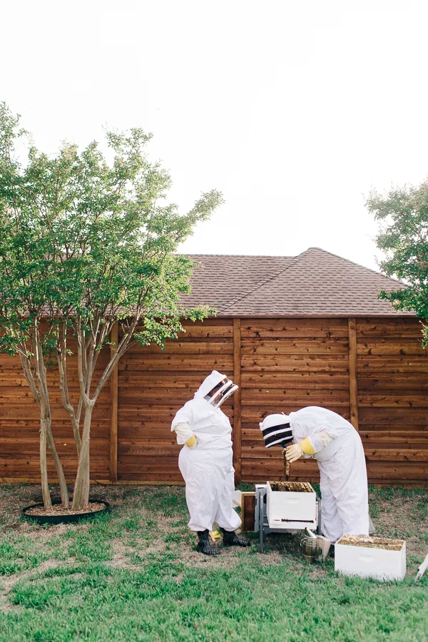 Bee Keeper Engagements Media Only 2018 (33 of 65).jpg