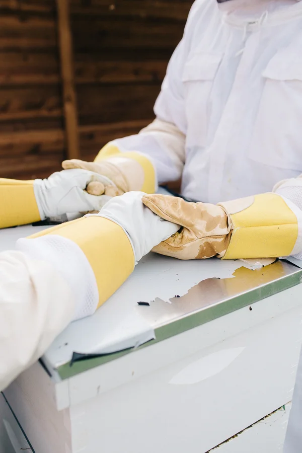 Bee Keeper Engagements Media Only 2018 (40 of 65).jpg