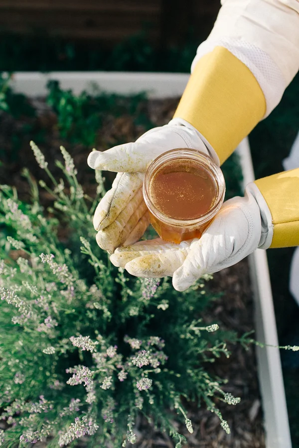 Bee Keeper Engagements Media Only 2018 (62 of 65).jpg