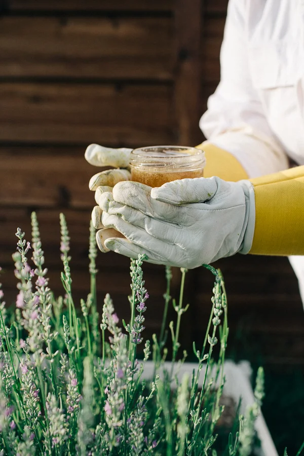 Bee Keeper Engagements Media Only 2018 (64 of 65).jpg