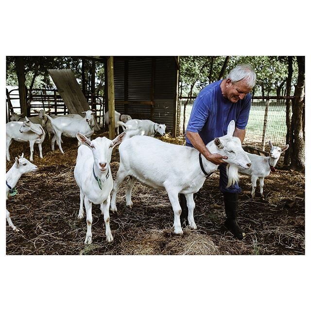 Last year, on assignment for @edibledfw with Paul Allen of Lost Ruby Ranch @lostrubyranch I feel privileged to tell the stories of people stepping into their gifts and spreading joy in their little corners of the world. #inspired