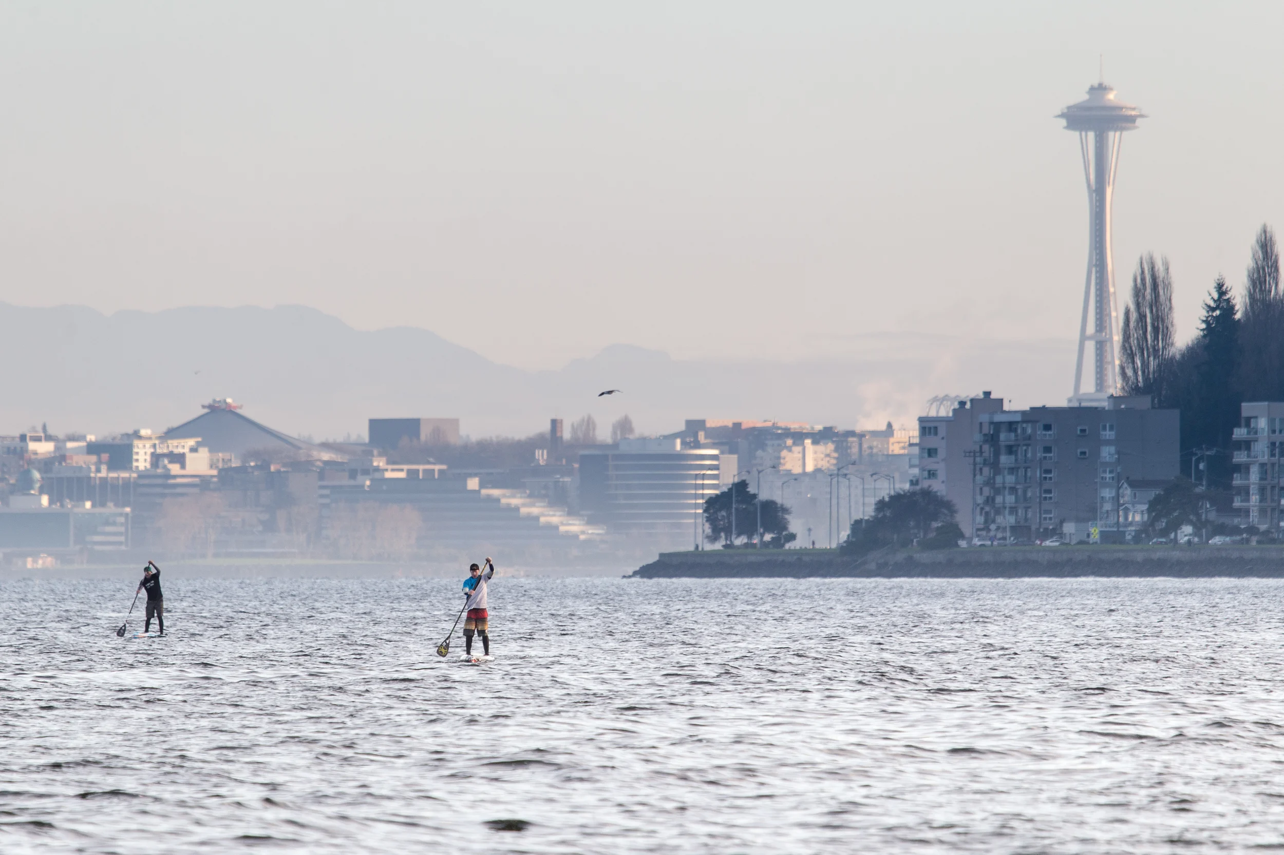 Sunrise Paddle, Alki Beach, Seattle WA