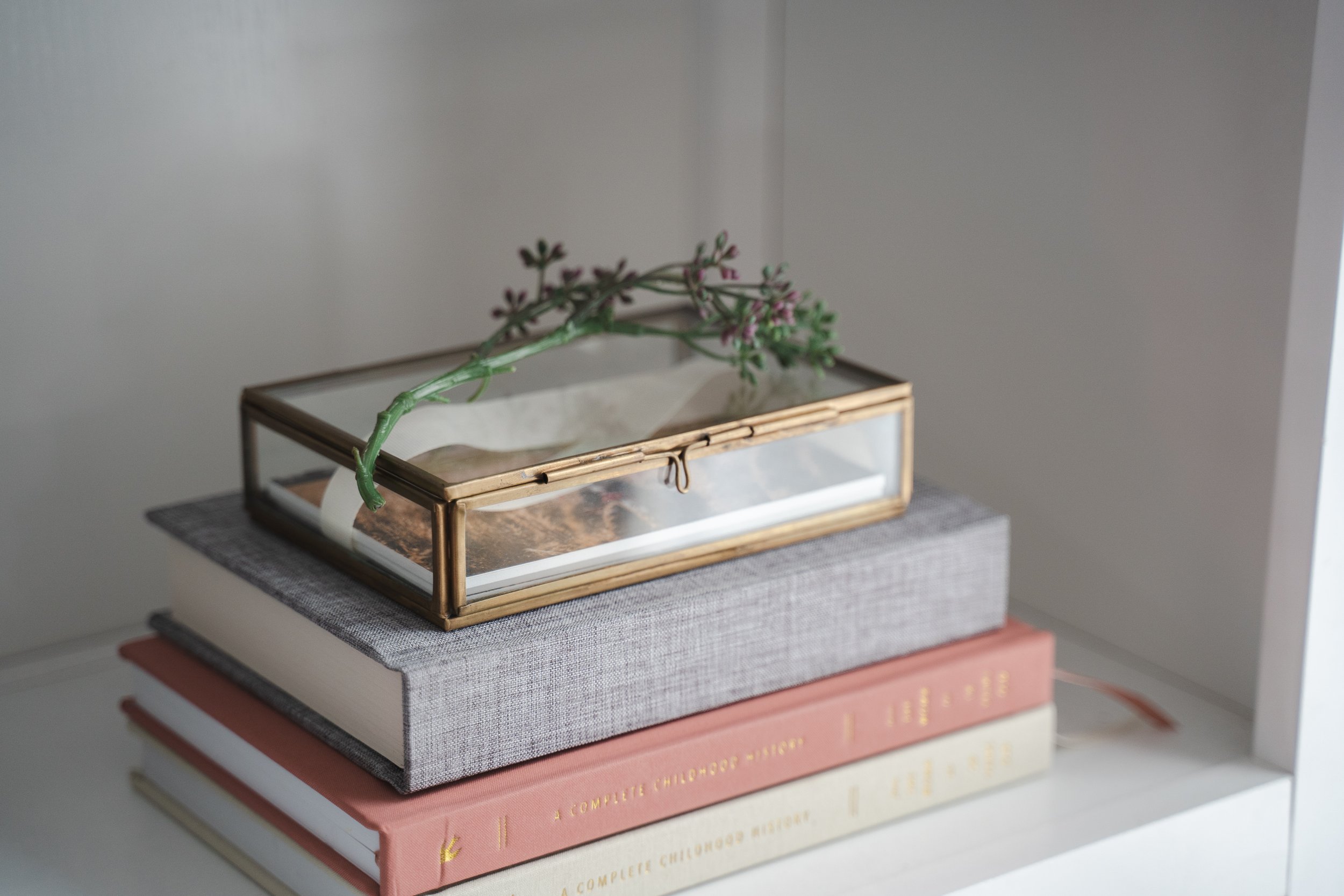 A glass box of photographic prints.