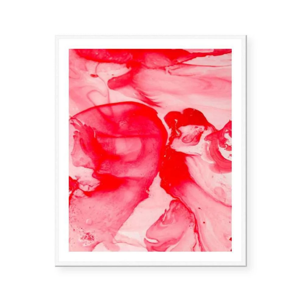 Waratah_White_SQ_1024x1024.jpg