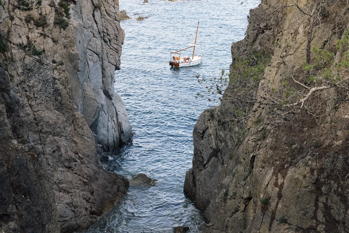 DSCF0199.jpg