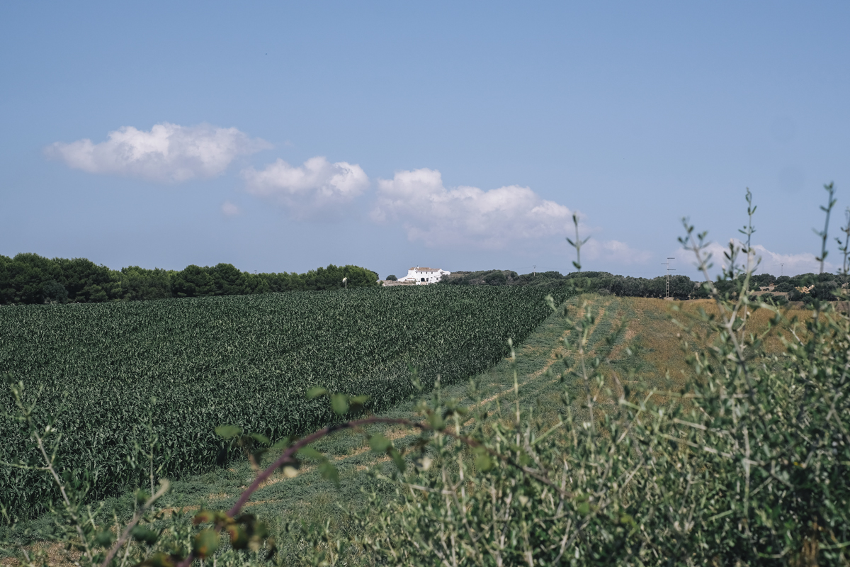 DSCF9043.jpg
