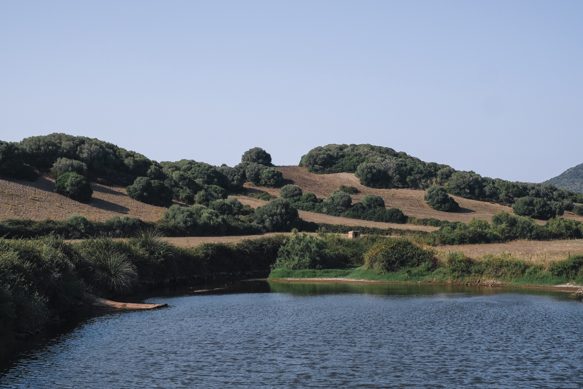 DSCF9092.jpg