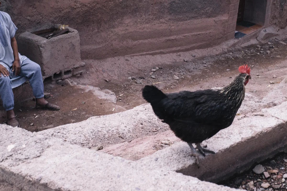 DSCF1649.jpg