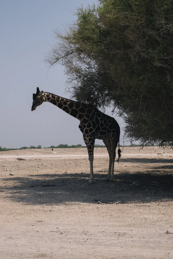 DSCF5883.jpg