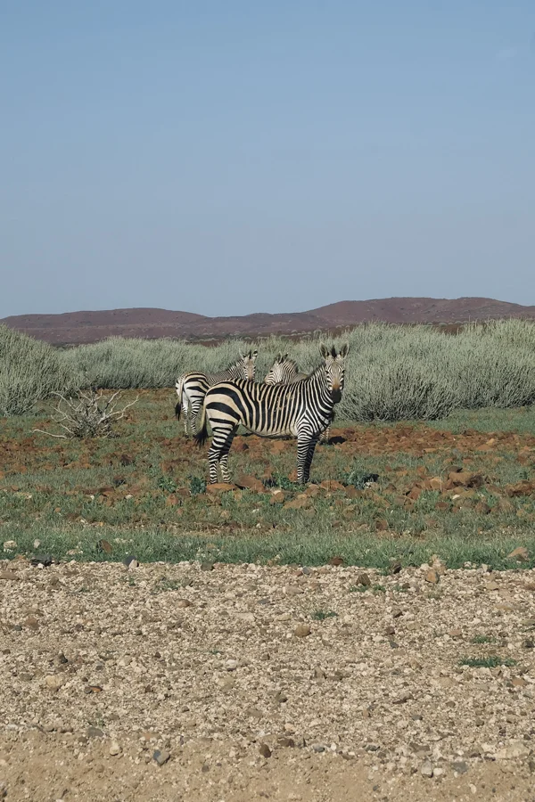 DSCF9039.jpg