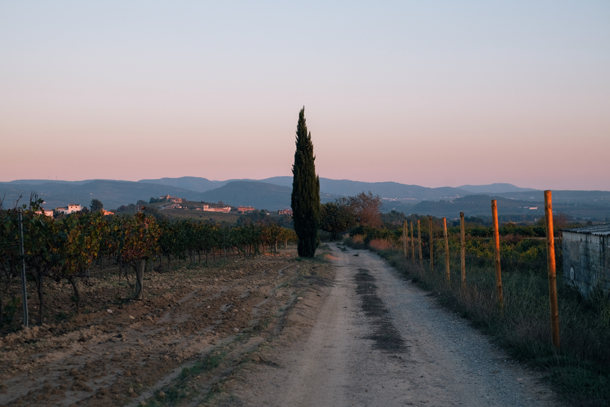 DSCF9548.jpg
