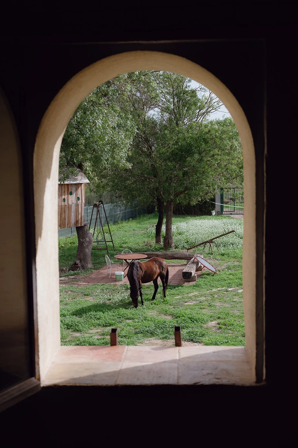 DSC_6824-Edit copy.jpg